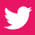social-twitter-pink